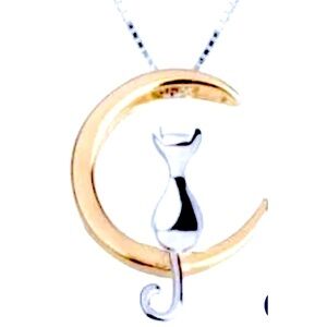 small  Cat  Moon Necklace